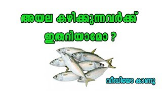 അയല കഴിക്കുന്നവര്‍ക്ക് ഇതറിയാമോ ?