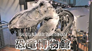 【福井】【DINOSAUR MUSEUM】【福井県立恐竜博物館】　Fukui Prefectural Dinosaur Museum