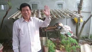 Ong thợ đẻ trứng phải làm thế nào