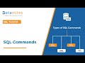 Must-Know Essential SQL Commands for beginners | SQL Tutorial - DataMites