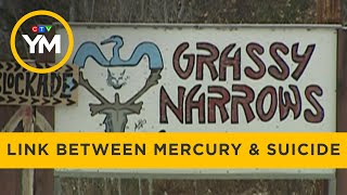 Link between youth suicide attempts and mercury exposure | Your Morning