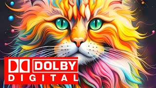 cat ¦ dolby atmos dolby digital sound