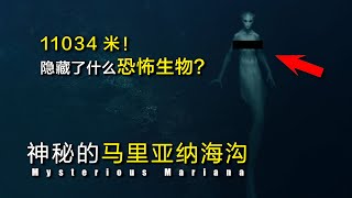 11034米！马里亚纳海沟的底部深渊，到底隐藏了怎样的恐怖生物？The horrible Mariana Huggou!