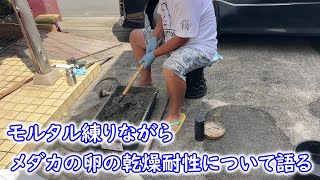 【めだか】メダカの卵の乾燥卵・・・その後の話　Ｂ型おやじ