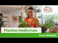 Plantas medicinais (Cooper Pratic