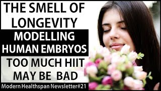 The Smell of Longevity | Modelling Human Embryos | Too Much HIIT May Be Bad | 2 Events | NS#21