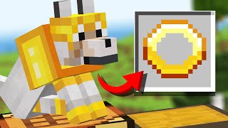 We ADDED 10 New PET Updates to Minecraft (Comments to Crafting)