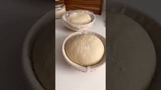 Straight dough from Flour Water Salt Yeast