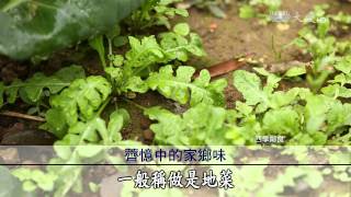 【蔬果生活誌】20150614 - 醫生兄弟的中西養生術