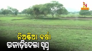 Drought-Like Situation Looms Over Titlagarh In Balangir Due To Deficient Monsoon Rains