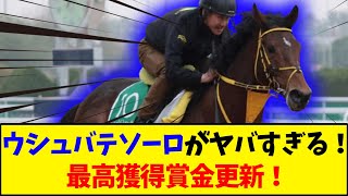 【競馬】 ウシュバテソーロがヤバすぎる！最高獲得賞金更新！