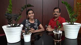 ZZ Plant Black- ZZ പ്ലാന്റ് കറുപ്പ് - Zamioculcas Zamiifolia - ,ZAMIA BLACK and ZAMIA VARIEGATED-