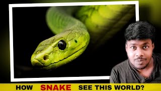 பாம்பு கண்ணுக்கு இந்த உலகம் எப்படி தெரியும்? | Snake Vision | Mugilan Nj | #shorts