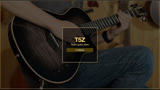 【小叮噹的店】Taylor Custom T5Z 超稀有特別美款木電吉他 全台只有一把 Taylor全空心電吉他