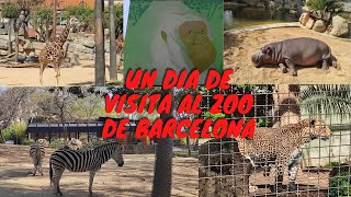 ZOO BARCELONA , un dia de visita con los animales.