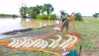 ថ្ងៃនេះមកអូសម៉ូងបានត្រីច្រើន​​ WOW! Snails, crabs, fish #shorts #snails #khcountryside