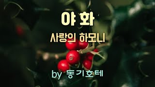 ♬ 야화 / 사랑의하모니 - by 동기호테