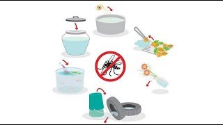 ঈদের ছুটিতে এডিস মশা ঠেকাতে যা করবেন  | How to prevent Dengue