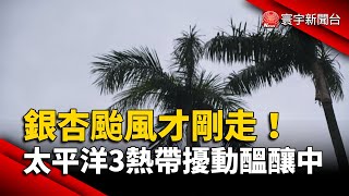 銀杏颱風才剛走！太平洋3熱帶擾動醞釀中｜#寰宇新聞@globalnewstw