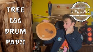 Is This Tree Drum Pad As Good As It Looks?!