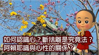 如何認識心？斷捨離是究竟法？阿賴耶識與心性的關係？－洛本天津仁波切【學佛釋疑】＃41－淺說密續(七) - 山中傳奇2023.05.13