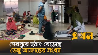 শেরপুরে হঠাৎ বেড়েছে ডেঙ্গু আক্রান্তের সংখ্যা | Dengue | Sherpur | Ekhon TV