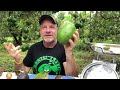 eating a three pound avocado. the choquette variety