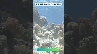 Ocean life Riddle no. 1