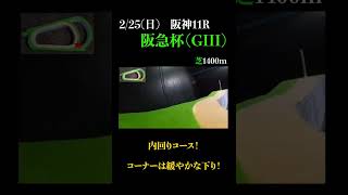 【オススメの１頭】阪急杯(ＧⅢ) 2024 #競馬予想