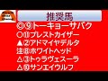 【競馬予想】大福山特別～トーキョーサバクの安定感を信頼！？～2022年10月24日 船橋競馬場