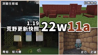 Minecraft | 1.19「荒野更新」第一個正式快照！青蛙、紅樹林木、泥巴…新內容大量加入！