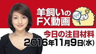 羊飼いのFX動画・水曜版「週前半の復習と本日及び週後半の注目ポイント」11月9日(水)