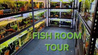 Fish Room Tour Along with some New Guppy Strains