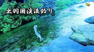 【山女魚とトンボ！】山戸漁協管内を訪問！山形渓流釣り