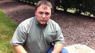 How To Kill Dandelions In Your Lawn with Robert, Scotts Associate