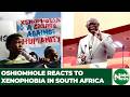 WATCH: Oshiomhole Alleges South African Politicians Promote Anti-Nigerian Sentiments | Naija News TV