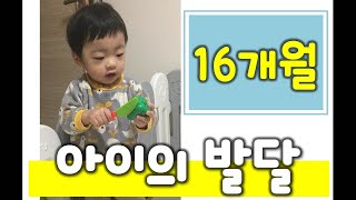 아기 언어발달] 16개월 아기~17개월 아기 발달 정리!(우리 아기는 잘 크고 있는걸까?) Infant development(엄마, 아빠 참조)