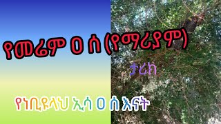 የመሬም ዐ ሰ (የማሪያም) የኢሳ ዐ ሰ እናት ታሪክ  የነቢያት ታሪክ አስተማሪ