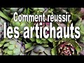 Comment réussir les artichauts