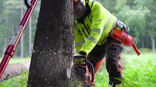 Stalpen Tree Felling Straightener - Svedbro Smide