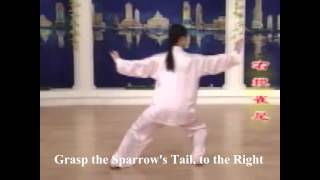 24 Tai Chi video with English subtitles and narrations
