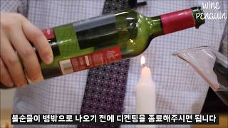 [와인펭귄] 교양있게 와인 디켄팅하는 법 // How to decant a wine?