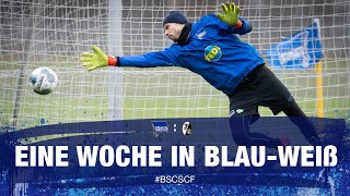 HAHOHE - Eine Woche in Blau-Weiß - 15.Spieltag - SC Freiburg - Hertha BSC