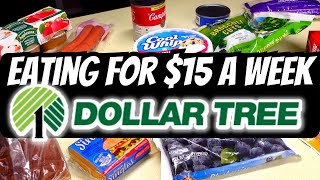 How to eat at Dollar Tree for $15 a Week | Emergency Grocery Budget Challenge | Cheap Meals