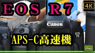 キヤノンのAPS-CのRFマウント機「EOS R7」の登場が確実に？