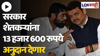 Farmer Protest : शेतकऱ्यांसाठी आता आनंदाची बातमी! सरकार शेतकऱ्यांना 13 हजार 600 रुपये अनुदान देणार