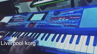 Liverpool korg