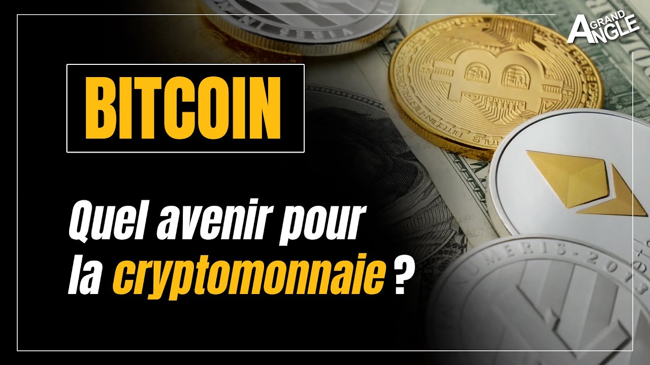 Quelle Place Pour Le Bitcoin Dans La Prochaine Décennie ? - YouTube