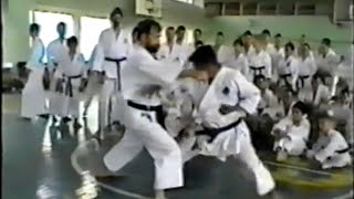 Sadashige Kato kihon kumite