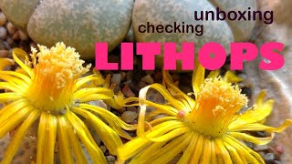 Lithops Unboxing and Checking